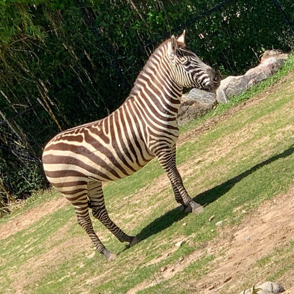 LIVE NOTIFICATION🦋 - Picture 8 of 13